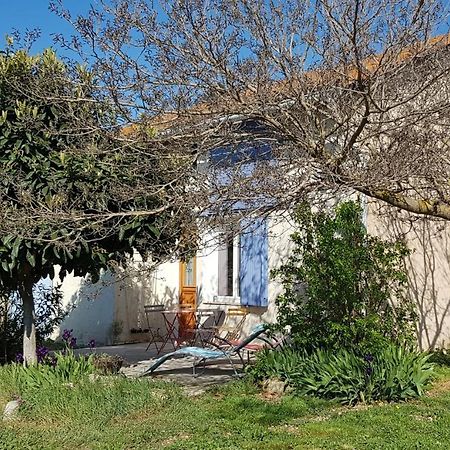 Petite maison refaite à neuf dans mas du 19ème siècle Arles Exterior foto