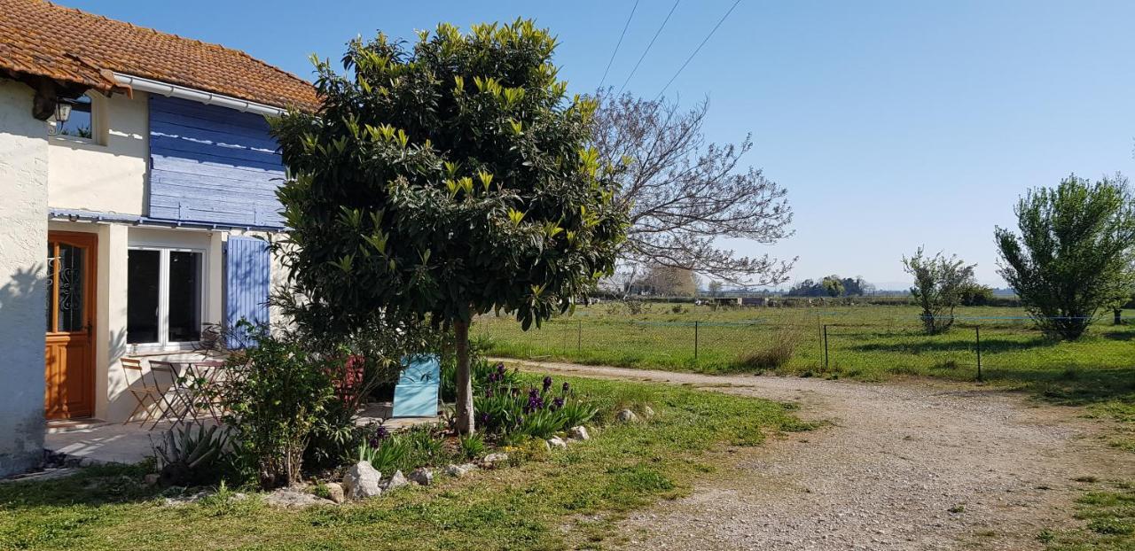 Petite maison refaite à neuf dans mas du 19ème siècle Arles Exterior foto